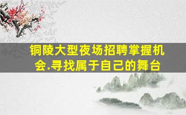 铜陵大型夜场招聘掌握机会.寻找属于自己的舞台